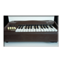 ORGANO LILI LEDY