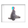 FOCA