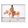 TORO Y SU CABALLO SCOUT